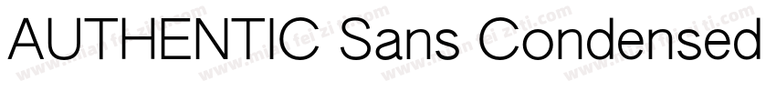AUTHENTIC Sans Condensed 130字体转换